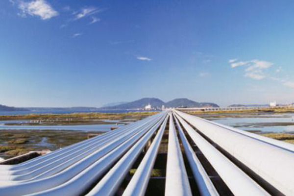 6731������Ϸ(�й���)-�ٷ���վ