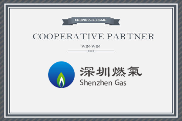 ������ȼ�����Źɷ����޹�˾