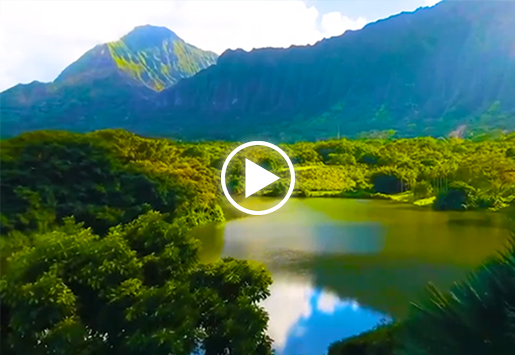 6731������Ϸ��Դ����Ƭ