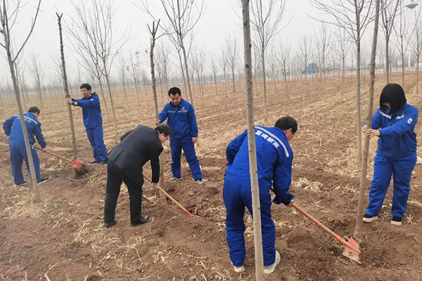 6731������Ϸ(�й���)-�ٷ���վ