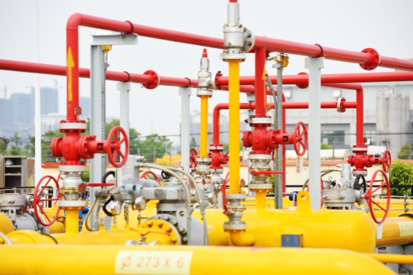 6731������Ϸ(�й���)-�ٷ���վ