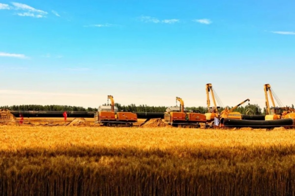 6731������Ϸ(�й���)-�ٷ���վ